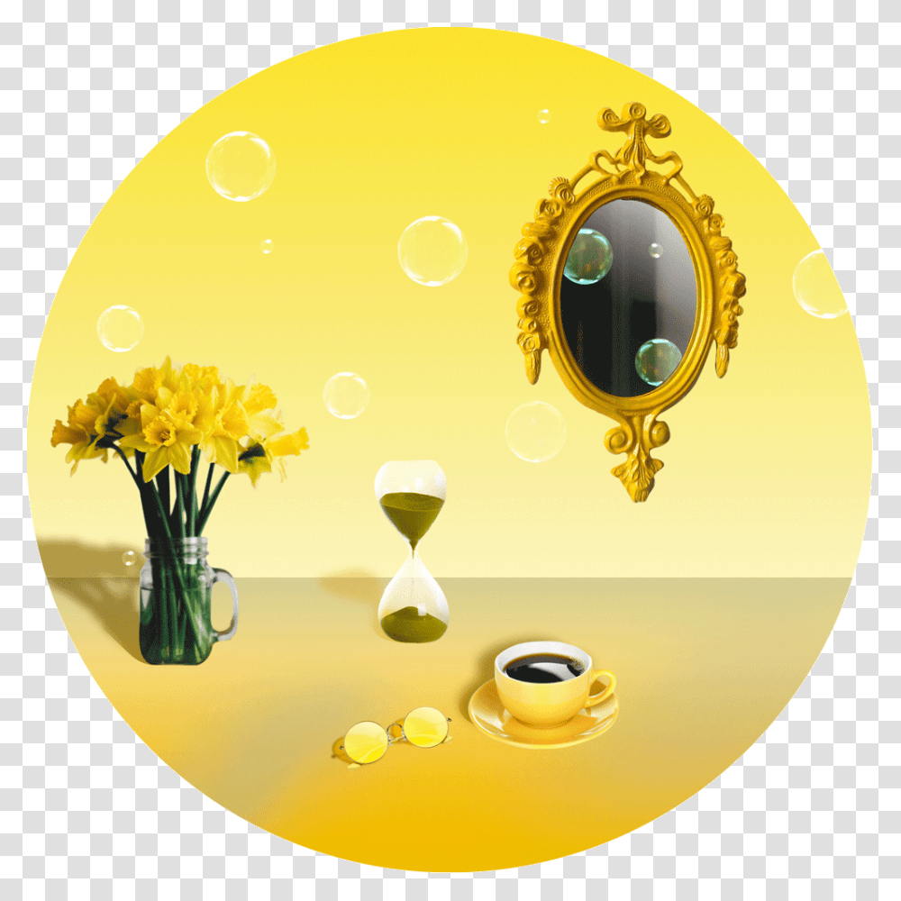 Circle, Plant, Beverage, Flower, Glass Transparent Png