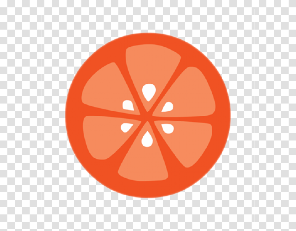 Circle, Plant, Citrus Fruit, Food, Produce Transparent Png