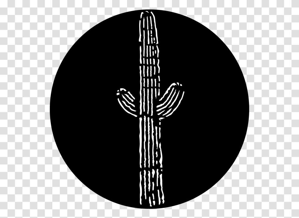 Circle, Plant, Cross, Cactus Transparent Png