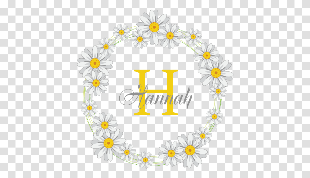 Circle, Plant, Daisy, Flower, Daisies Transparent Png