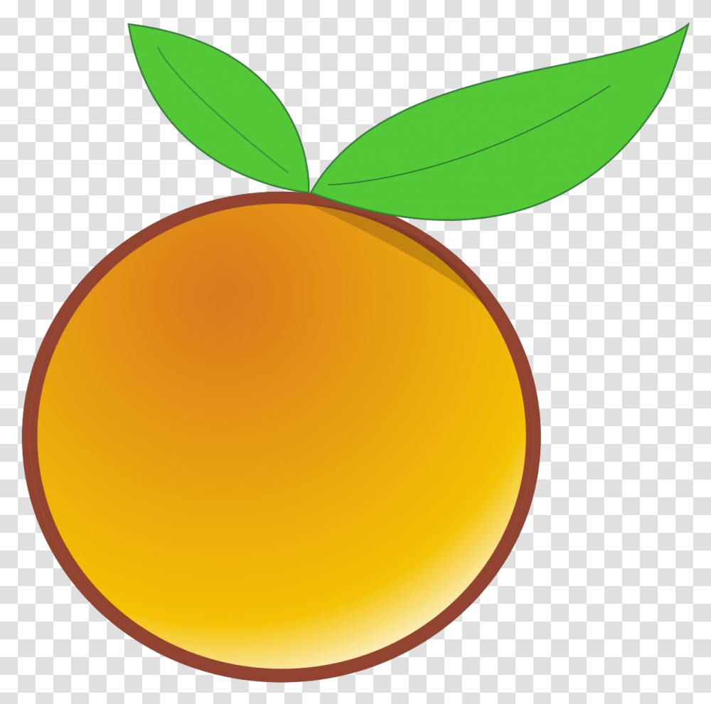Circle, Plant, Fruit, Food, Apricot Transparent Png