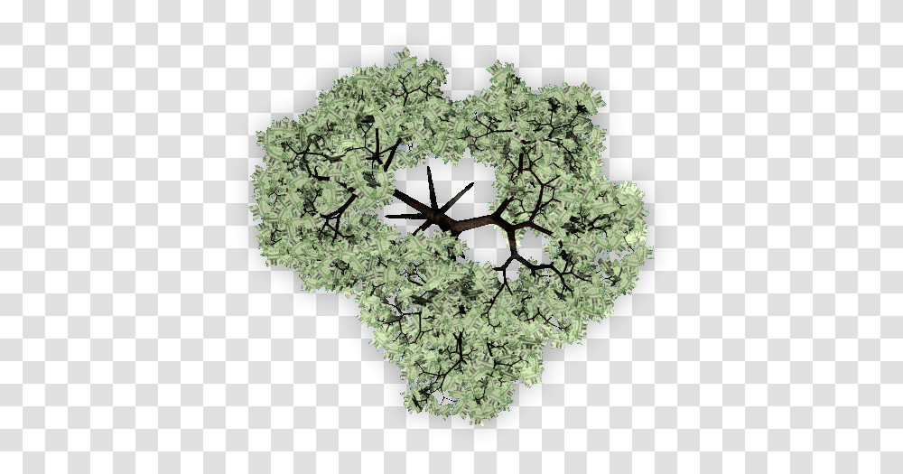 Circle, Plant, Hole, Tree, Weapon Transparent Png
