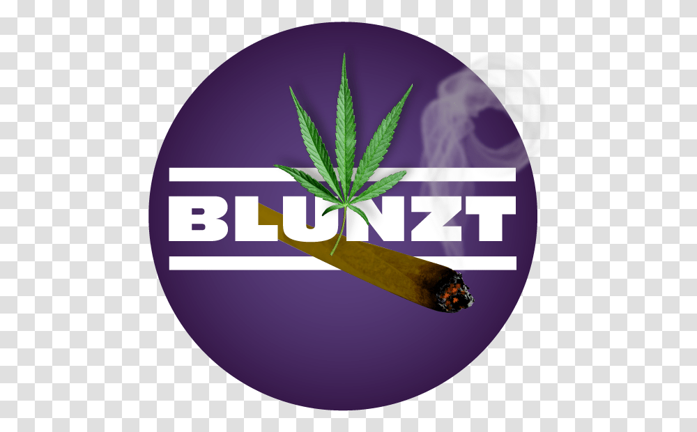 Circle, Plant, Purple, Weed, Hemp Transparent Png
