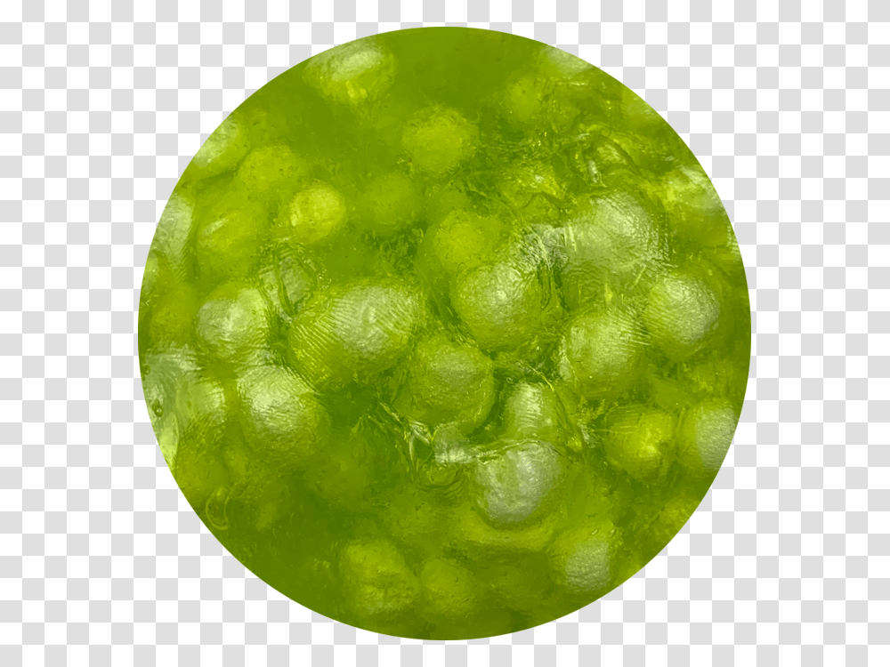 Circle, Plant, Sphere, Grass, Green Transparent Png