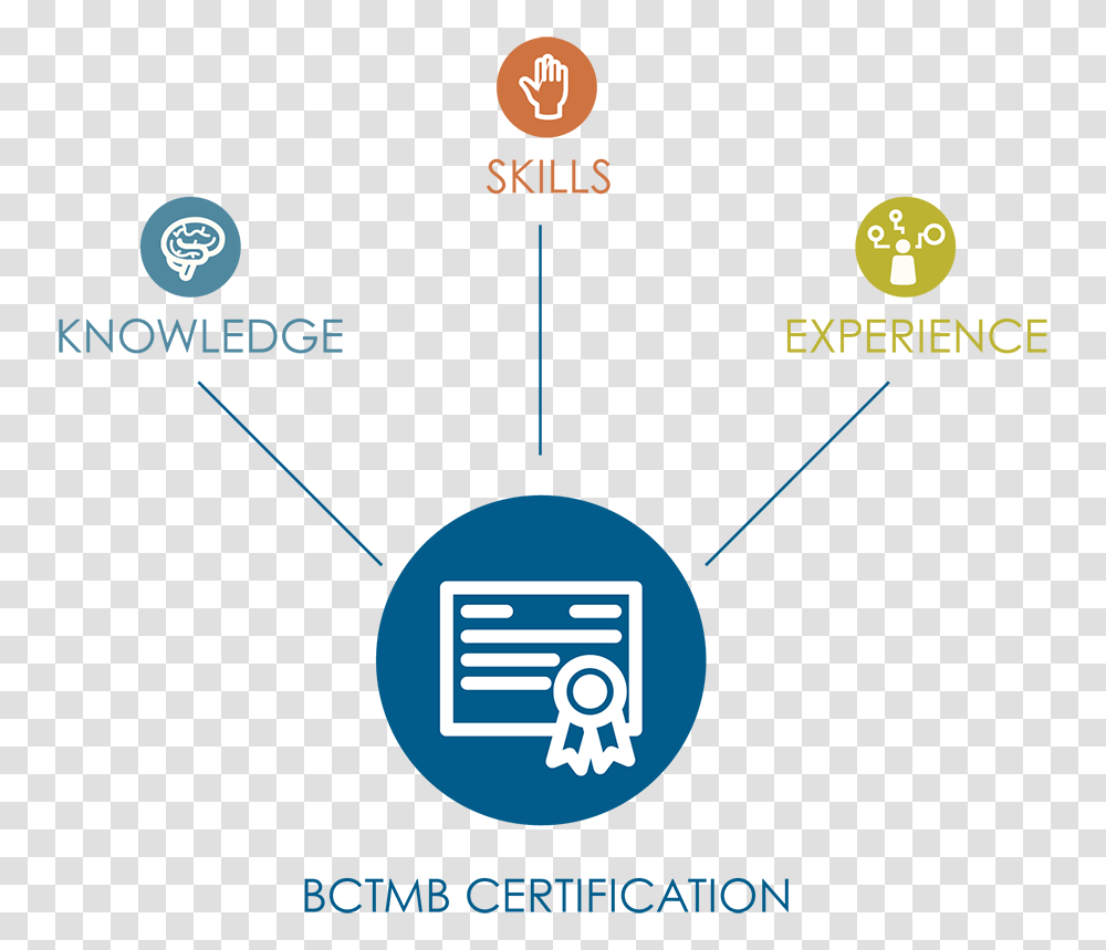 Circle, Plot, Diagram, Map Transparent Png