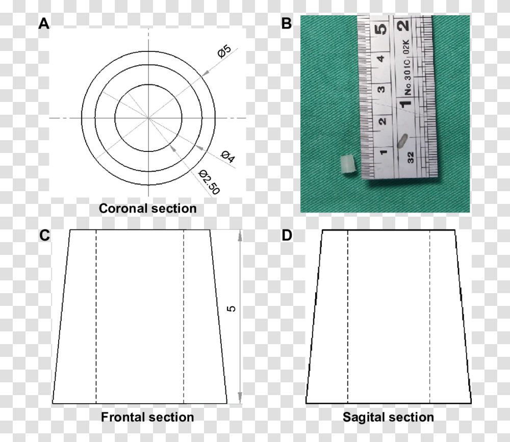 Circle, Plot, Diagram, Plan, Measurements Transparent Png