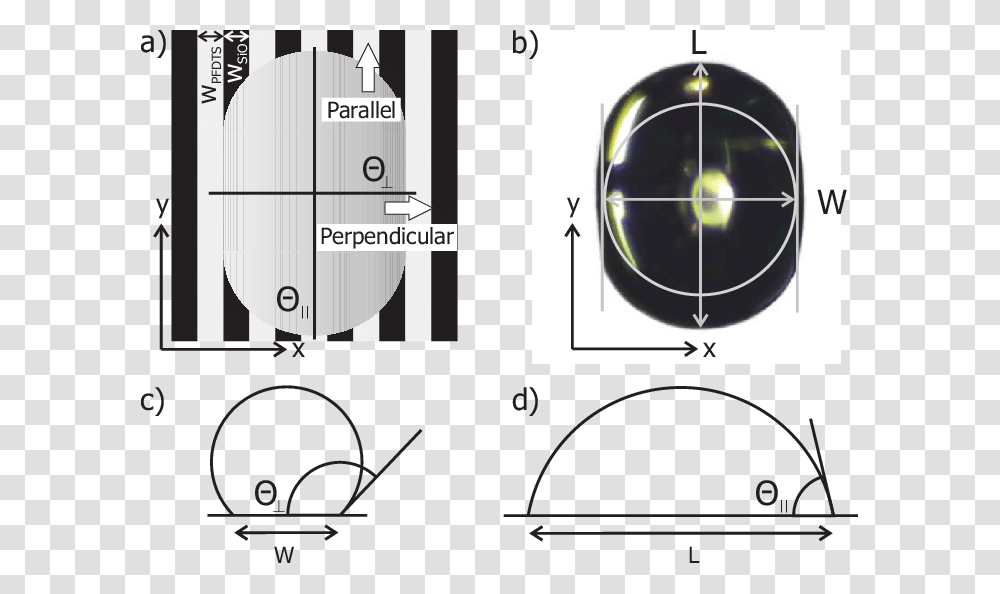 Circle, Plot, Diagram, Measurements Transparent Png