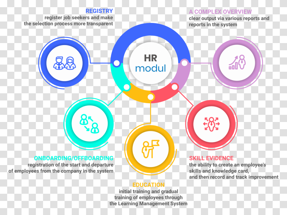 Circle, Poster, Advertisement, Flyer, Paper Transparent Png