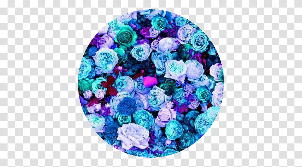 Circle Rose Roses Rosecircle Aesthetic Aestheticcircle Wallpaper, Purple, Turquoise, Accessories, Accessory Transparent Png