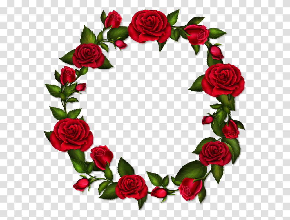 Circle Roses Frame Rose Flower Frame, Plant, Blossom, Flower Bouquet, Flower Arrangement Transparent Png