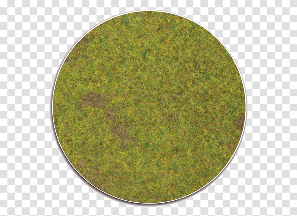 Circle, Rug, Coin, Money, Pattern Transparent Png
