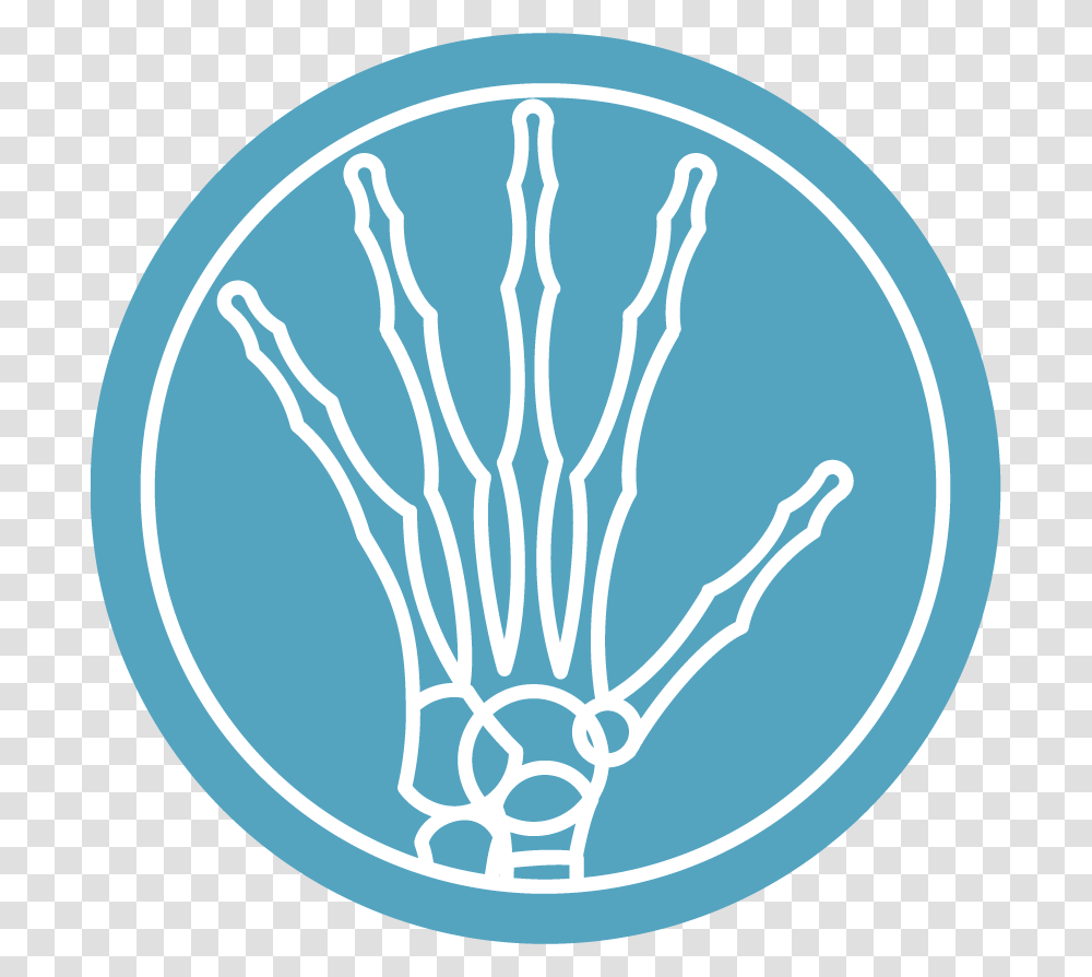 Circle, Rug, Hand, Sport, Sports Transparent Png