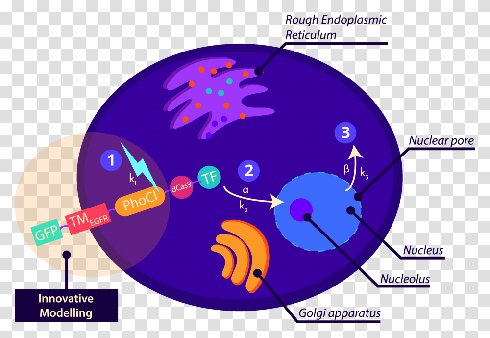 Circle, Sphere, Astronomy, Outer Space, Universe Transparent Png