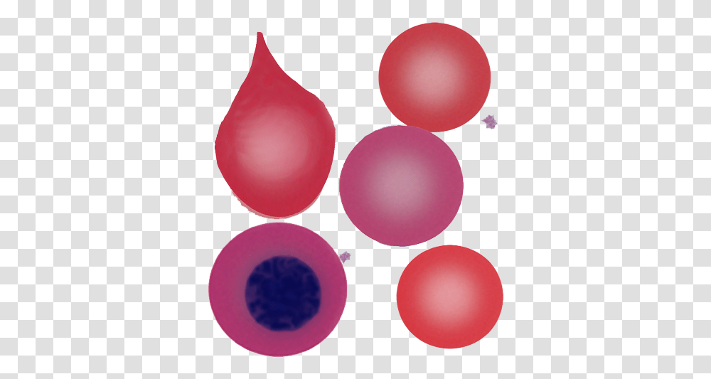 Circle, Sphere, Ball, Balloon Transparent Png