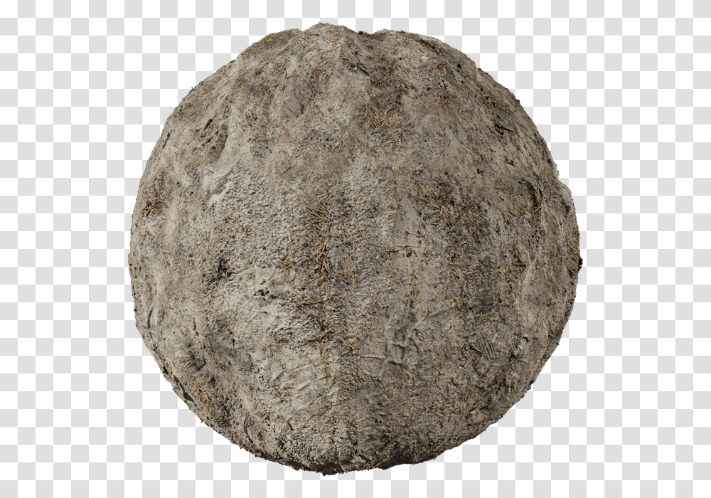 Circle, Sphere, Fossil, Bread, Food Transparent Png