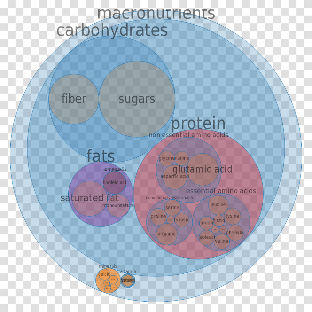 Circle, Sphere, Word, Diagram, Astronomy Transparent Png