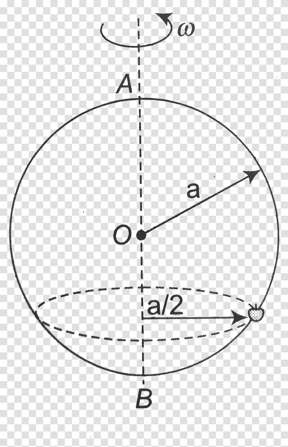 Circle, Bow, Sphere, Diagram Transparent Png