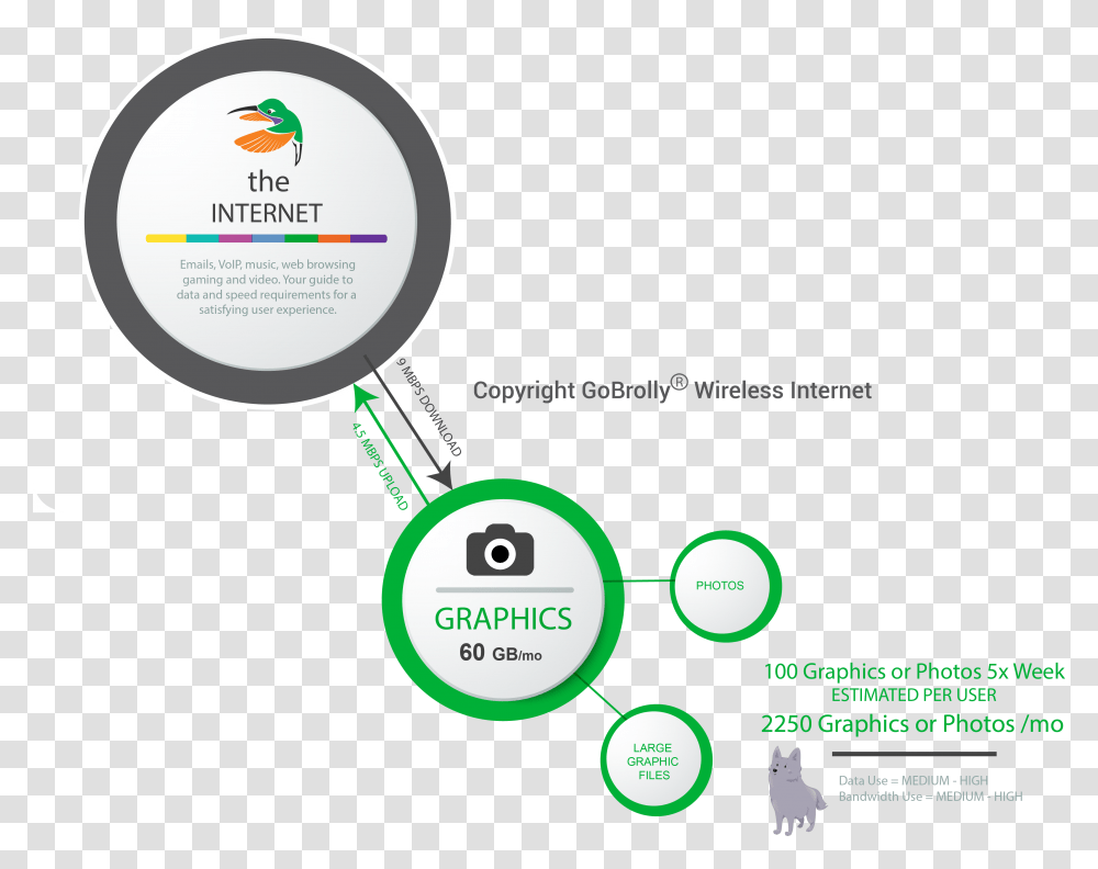 Circle, Magnifying, Page, Label Transparent Png