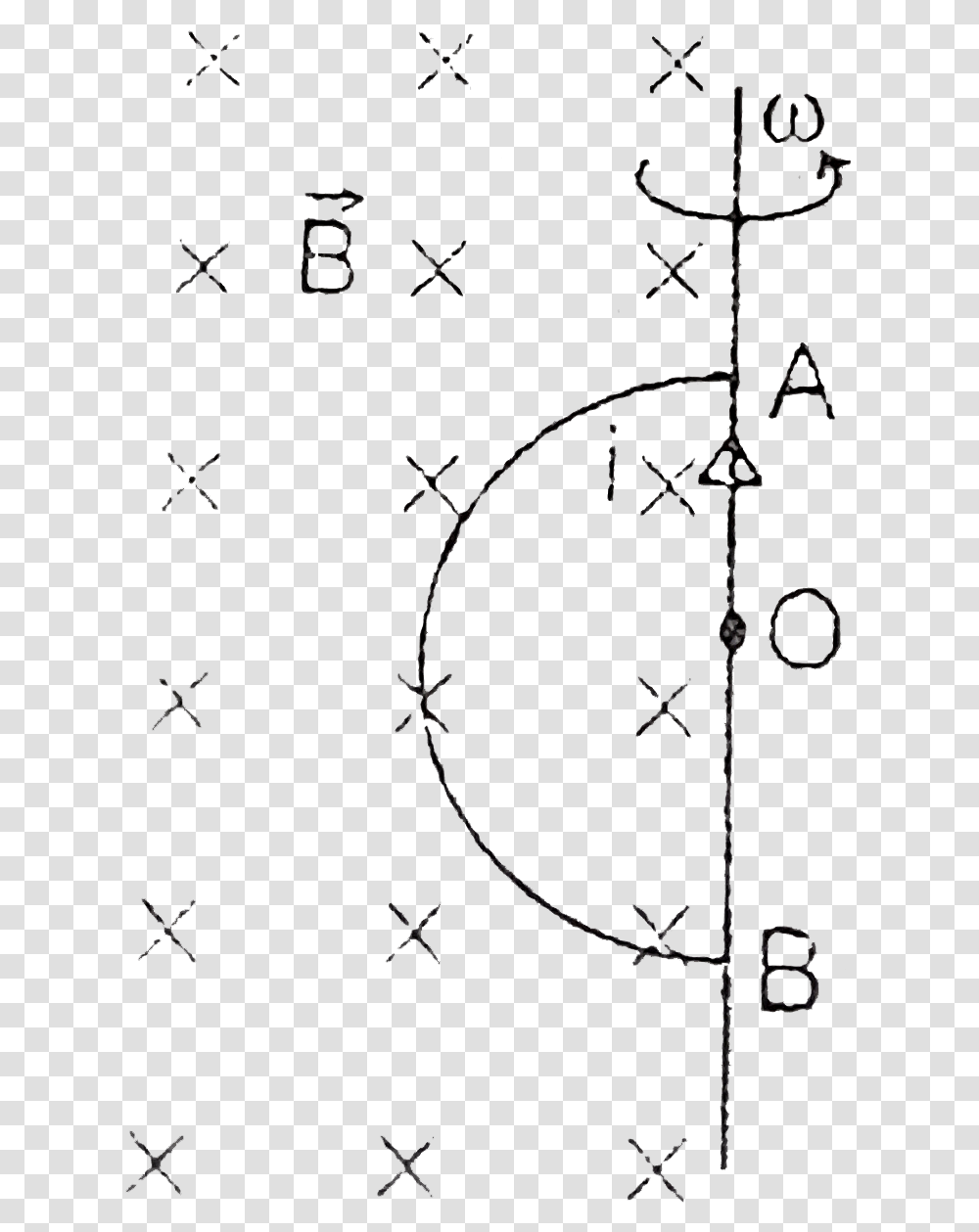 Circle, Pattern, Diagram Transparent Png