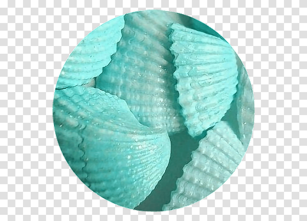 Circle Tumblr Aesthetic Remixit Overlaybackgroud Blue Aesthetic Shells, Clam, Seashell, Invertebrate, Sea Life Transparent Png