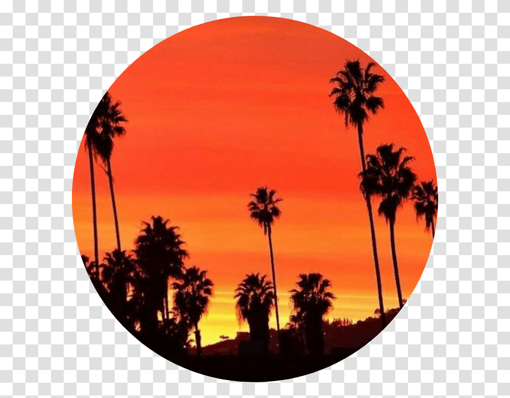 Circle Tumblr Background Astethic Kpop Colorful Orange Colour Sky Aesthetic, Outdoors, Tropical, Palm Tree, Plant Transparent Png