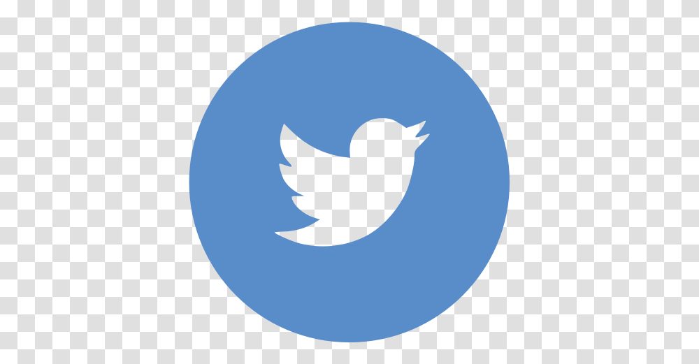 Circle Twitter Icon Twitter Logo In Circle, Bird, Animal, Silhouette, Blackbird Transparent Png