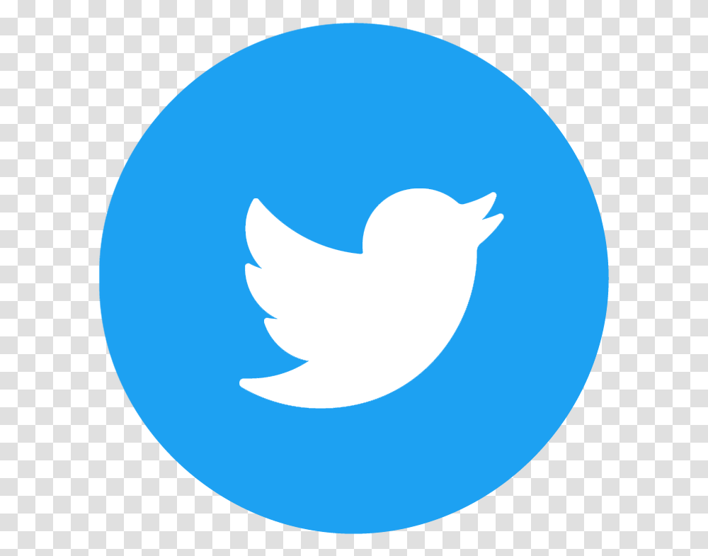 Circle Twitter Logo, Animal, Bird, Cat Transparent Png