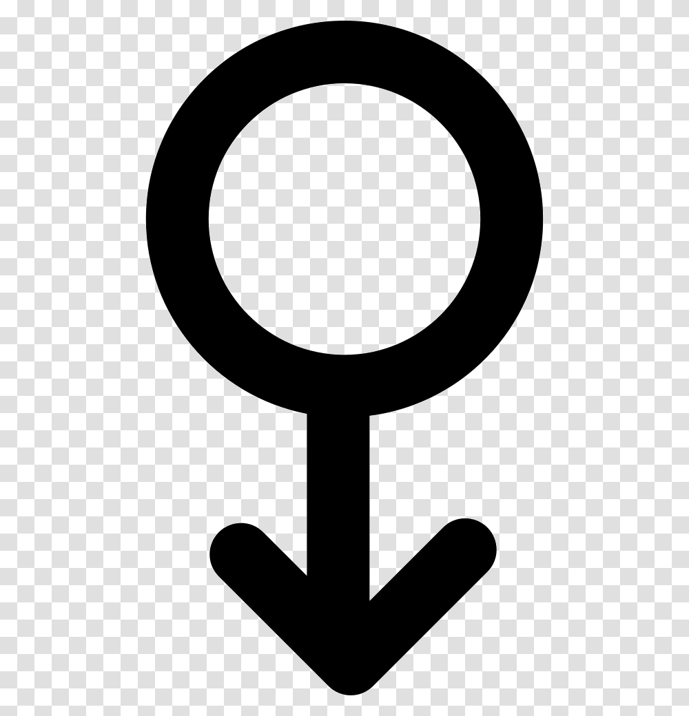 Circle With Arrow Symbol Male Female Icon Free Download, Lamp, Hook Transparent Png