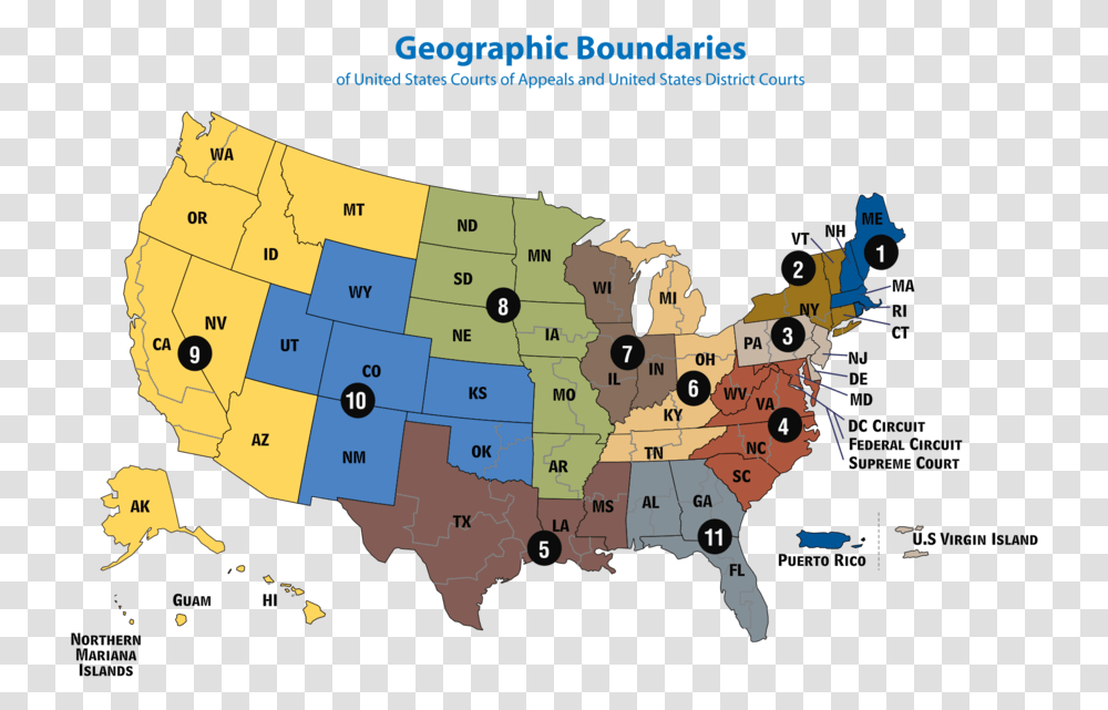 Circuit Courts Of Appeals Map Stand Your Ground State List, Poster, Advertisement, Diagram, Plot Transparent Png