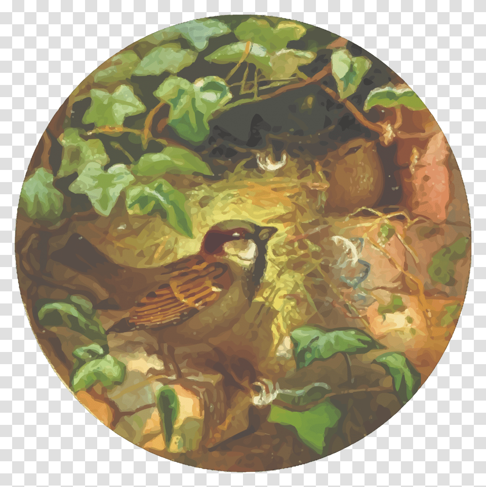 Circular House Sparrow Drawing Clip Arts House Sparrow, Painting, Bird, Animal Transparent Png
