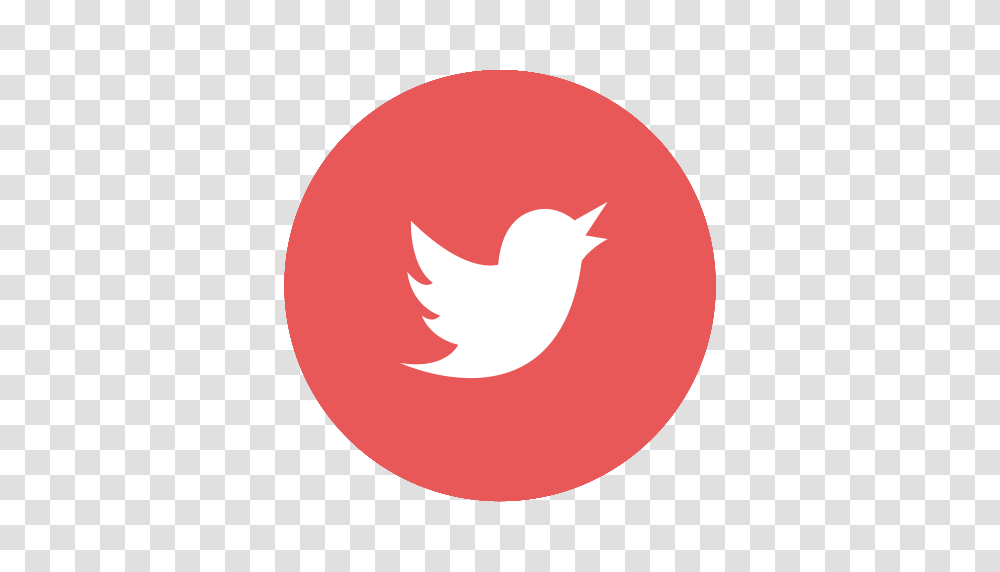 Circular Media Modern Red Social T Tw Tweet Twitter Icon, Bird, Animal, Blackbird, Swallow Transparent Png