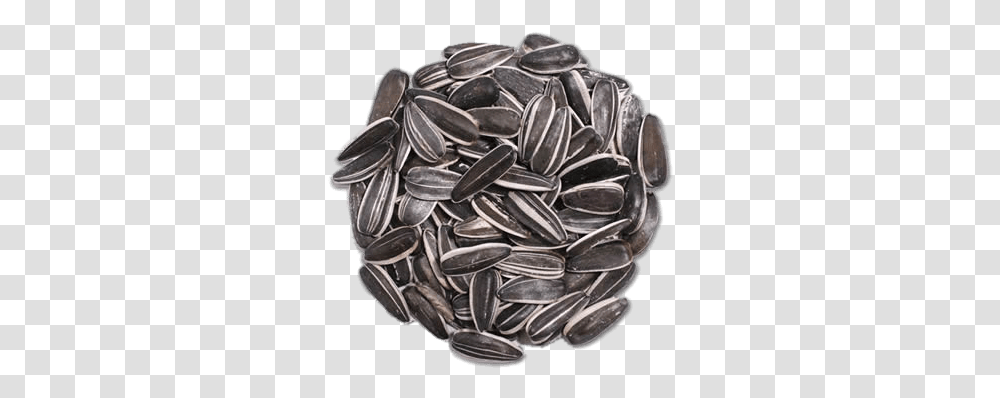 Circular Pile Of Sunflower Seeds Striped Sunflower Seeds, Accessories, Accessory, Jewelry, Silver Transparent Png