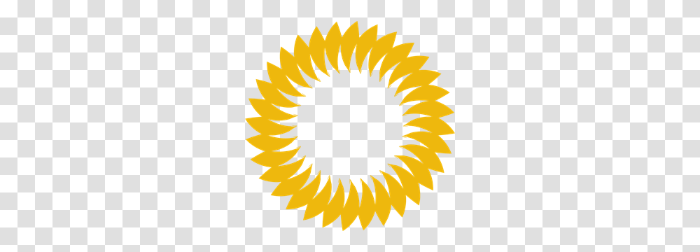 Circular Shape For Design Logo Vector, Sunflower, Plant, Blossom Transparent Png
