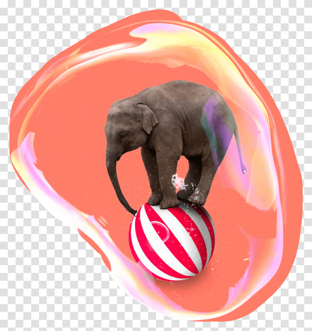 Circus Elephant Bubble Elephant On A Ball, Sphere, Wildlife, Mammal, Animal Transparent Png