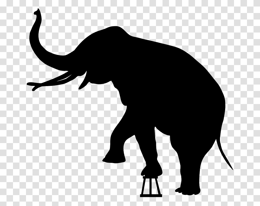 Circus Elephant Silhouette, Animal, Mammal, Aardvark, Wildlife Transparent Png