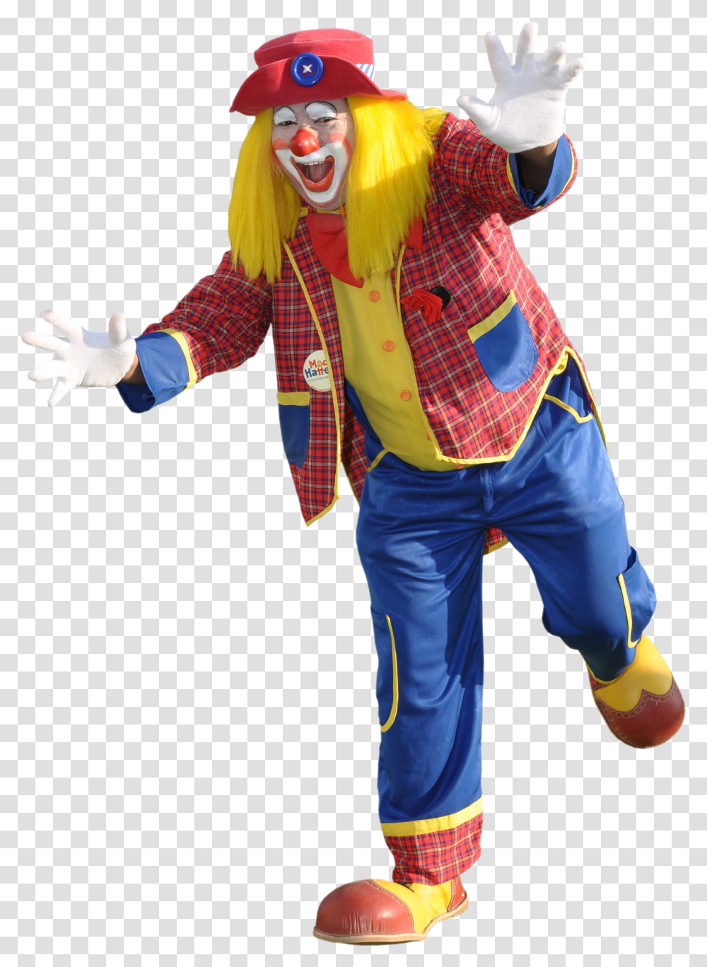 Circus Joker, Performer, Person, Human, Clown Transparent Png