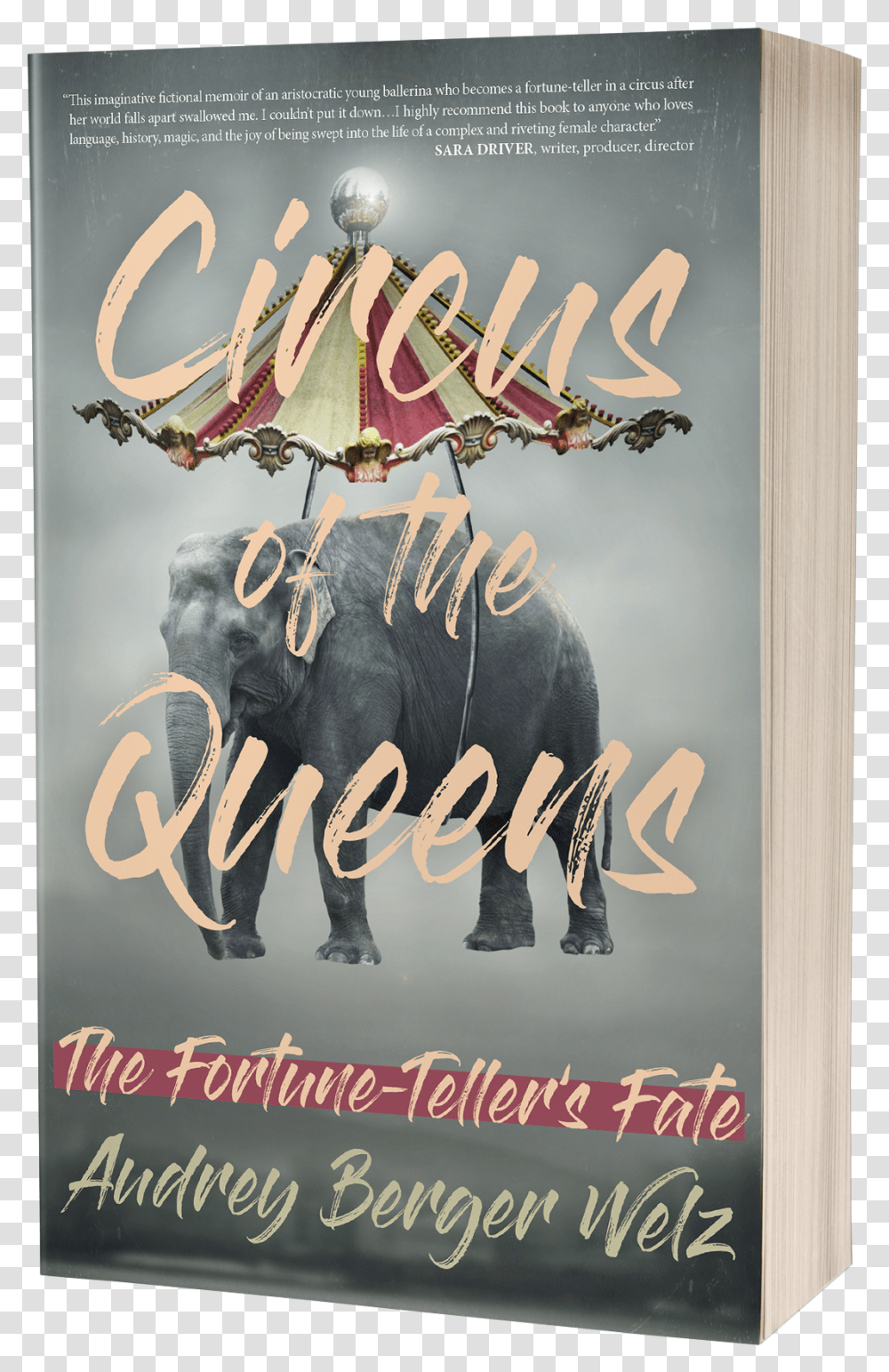 Circus Of The Queens, Poster, Advertisement, Elephant, Animal Transparent Png