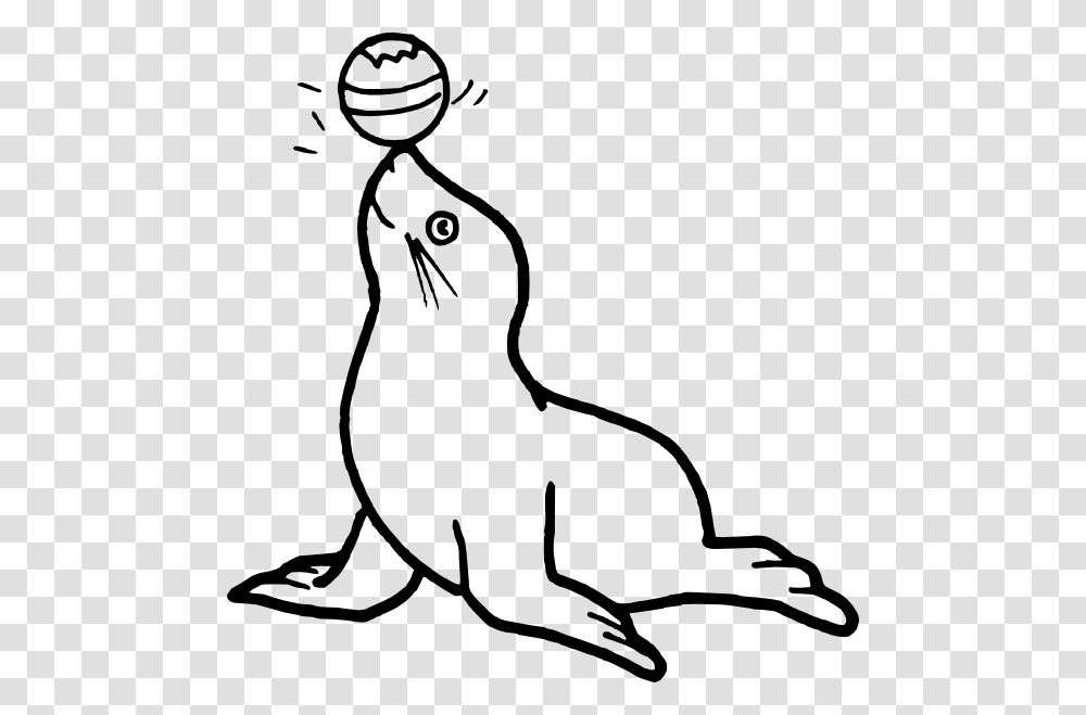 Circus Seal Clip Art, Sea Lion, Mammal, Sea Life, Animal Transparent Png