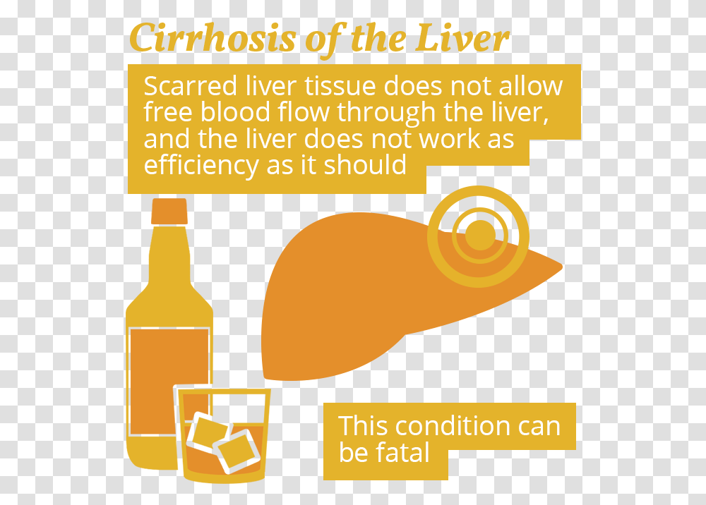 Cirrhosis And Alcohol Use, Advertisement, Poster, Flyer Transparent Png
