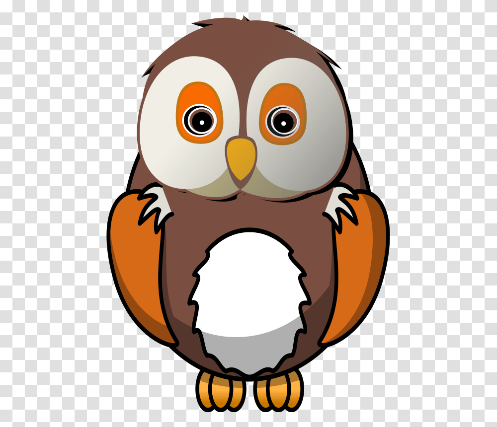 Cite, Animal, Bird, Beak, Food Transparent Png