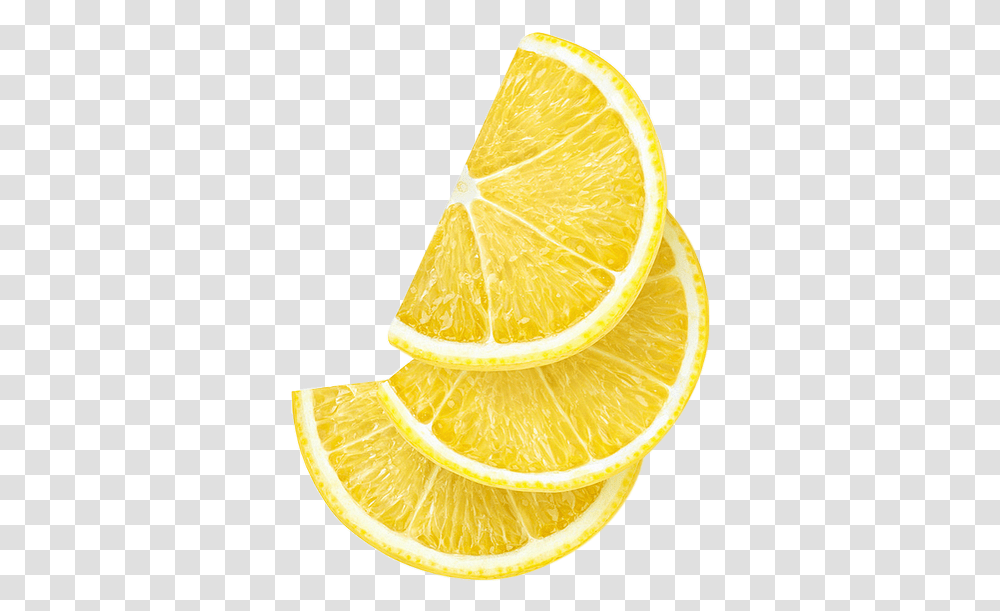 Citron Tube Fruit Background Lemon Slice, Citrus Fruit, Plant, Food, Orange Transparent Png