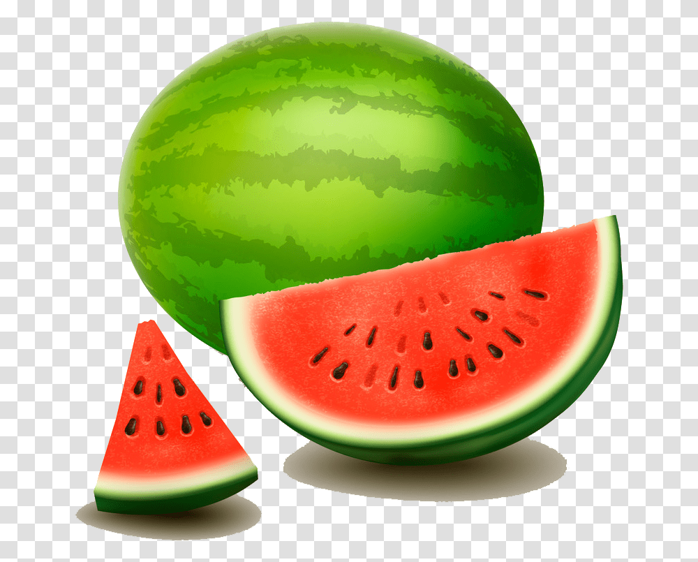 Citrullus Lanatus Drawing Photography Watermelon Illustrator Drawing Watermelon Hd, Plant, Fruit, Food Transparent Png