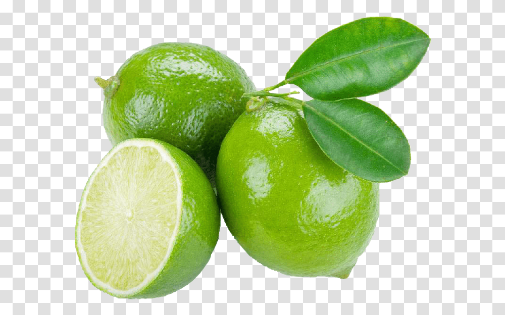 Citrus Aurantifolia Download Lime Fruit, Citrus Fruit, Plant, Food, Tennis Ball Transparent Png