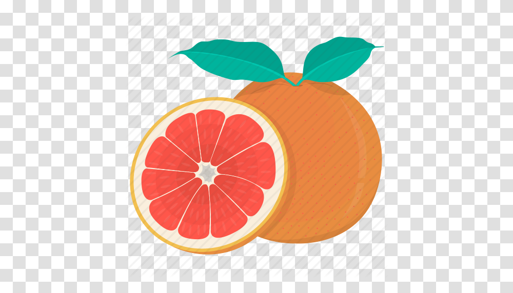 Citrus Food Fruit Grapefruit Kitchen Meal Plant Icon, Citrus Fruit, Produce, Pomelo Transparent Png