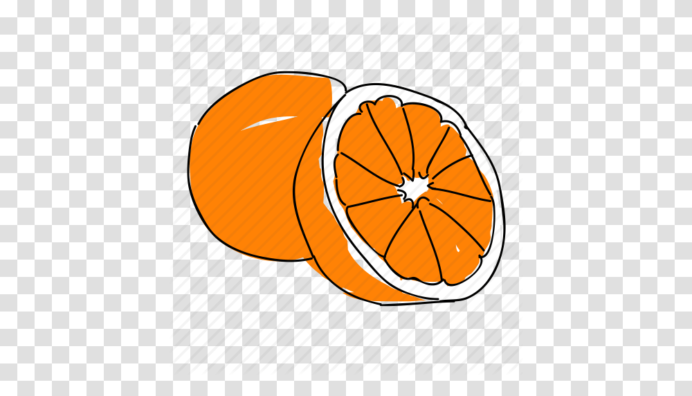 Citrus Food Fruit Hand Drawn Orange Oranges Produce Icon, Citrus Fruit, Plant, Grapefruit, Sliced Transparent Png