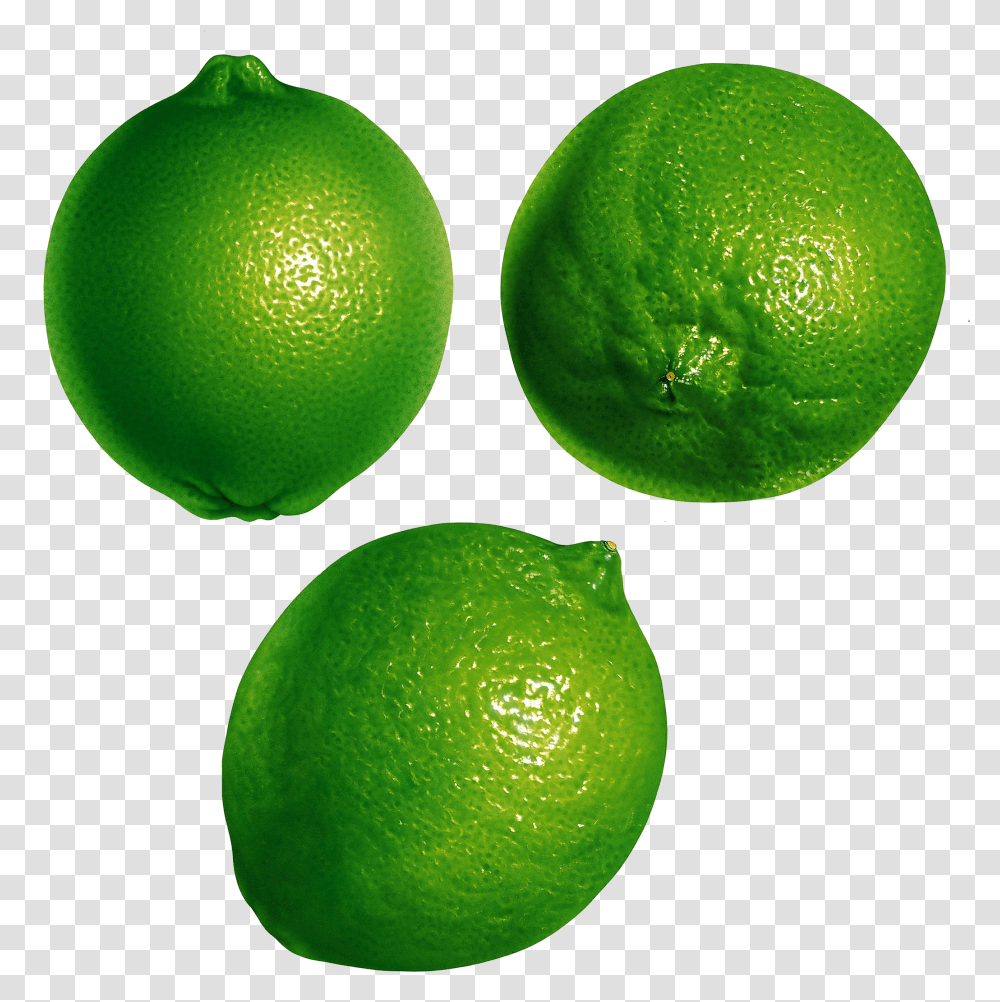 Citrus Fruit Background Lime Transparent Png