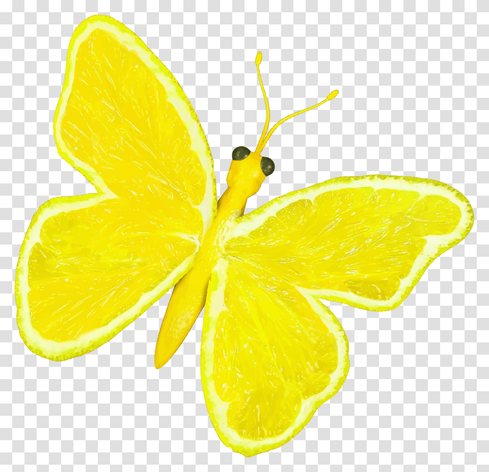 Citrus Fruit Butterfly Clip Arts Lemon Butterfly, Plant, Food Transparent Png