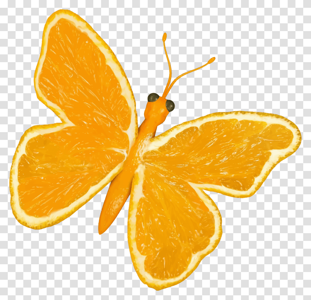 Citrus Fruit Butterfly Clip Arts Yellow Butterfly Cartoon, Plant, Food, Orange, Sliced Transparent Png
