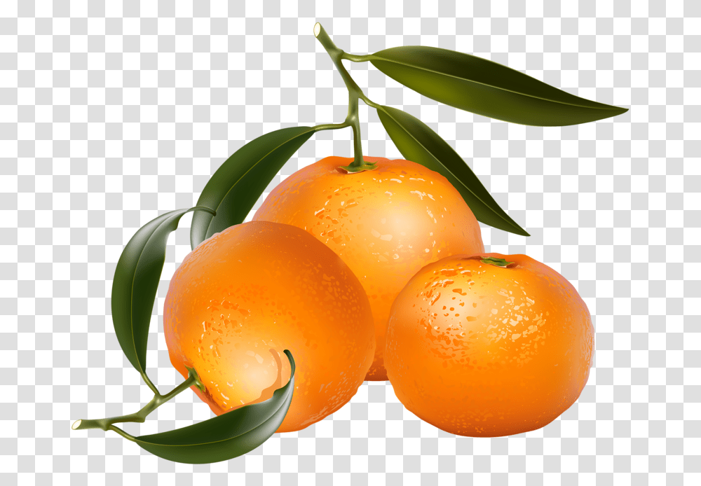 Citrus Fruit Four Oranges Clip Art, Plant, Food, Produce, Egg Transparent Png