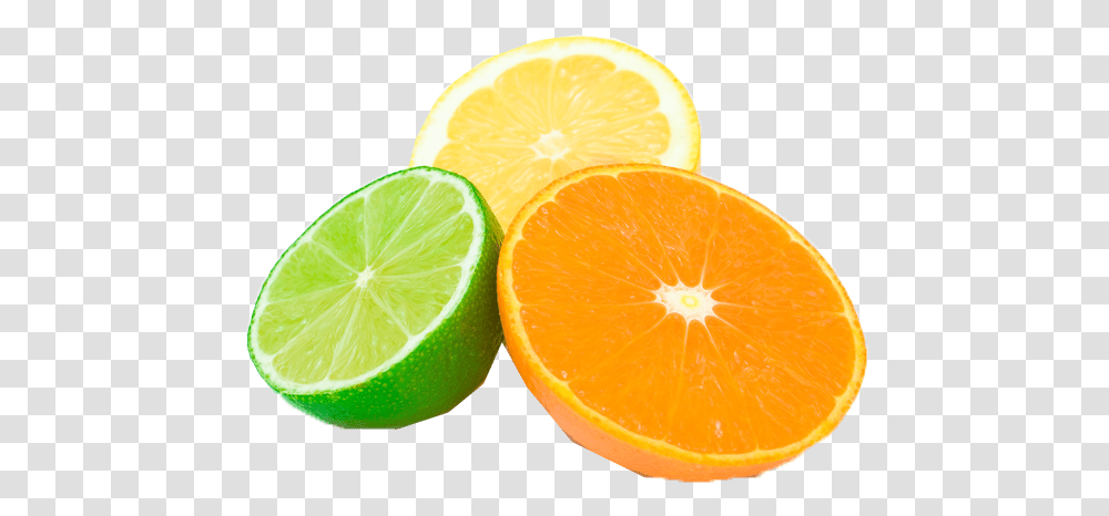 Citrus Fruit Images Background Play Citrus Fruits, Plant, Food, Orange, Lime Transparent Png